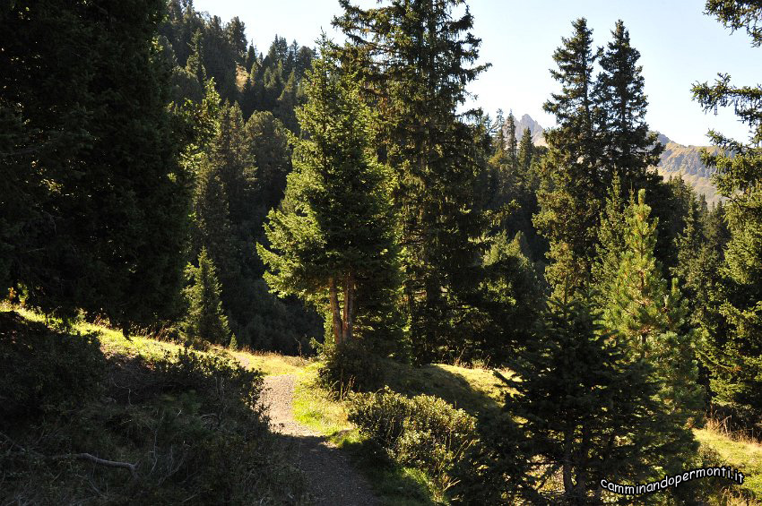 151 Torniamo al Rifugio Molignon sul sentiero 7.JPG